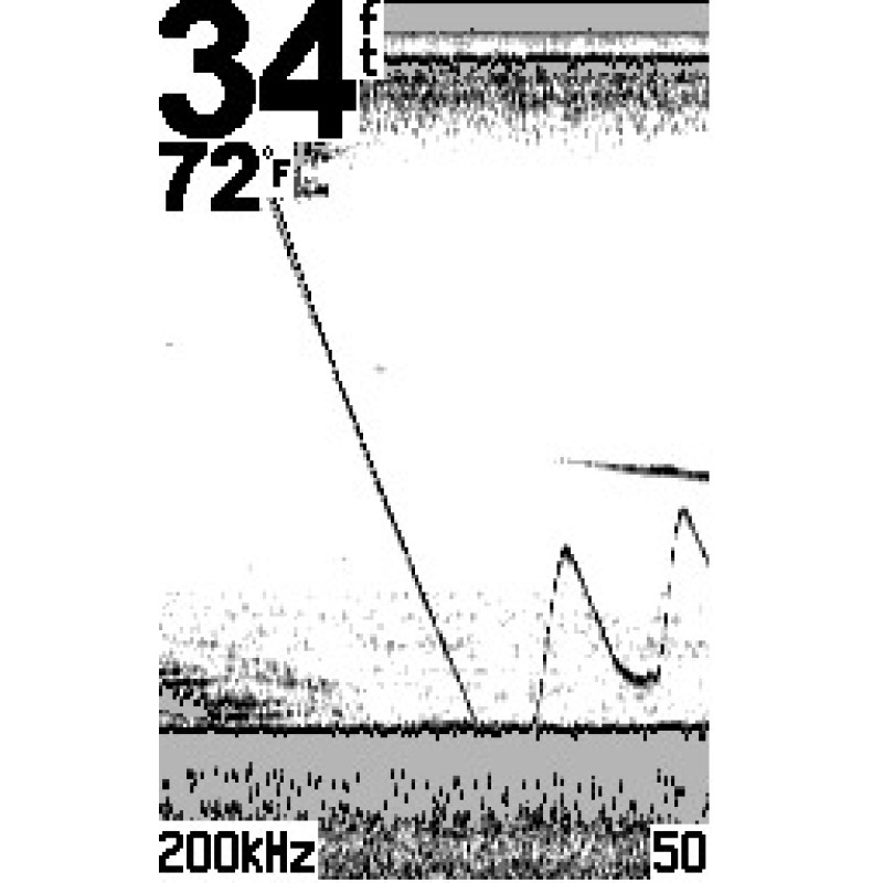 Эхолот Garmin Echo 100