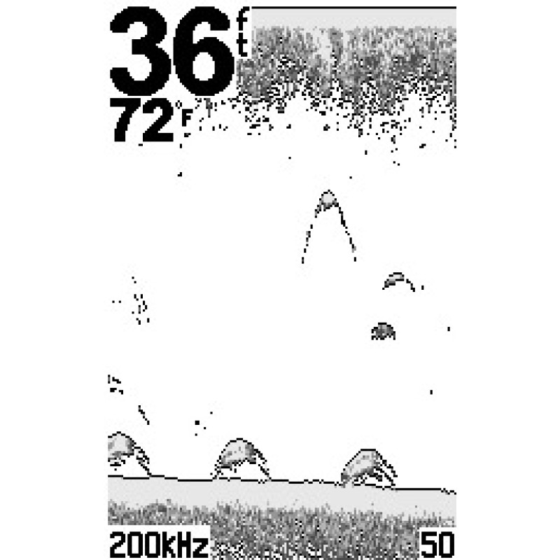 Эхолот Garmin Echo 100