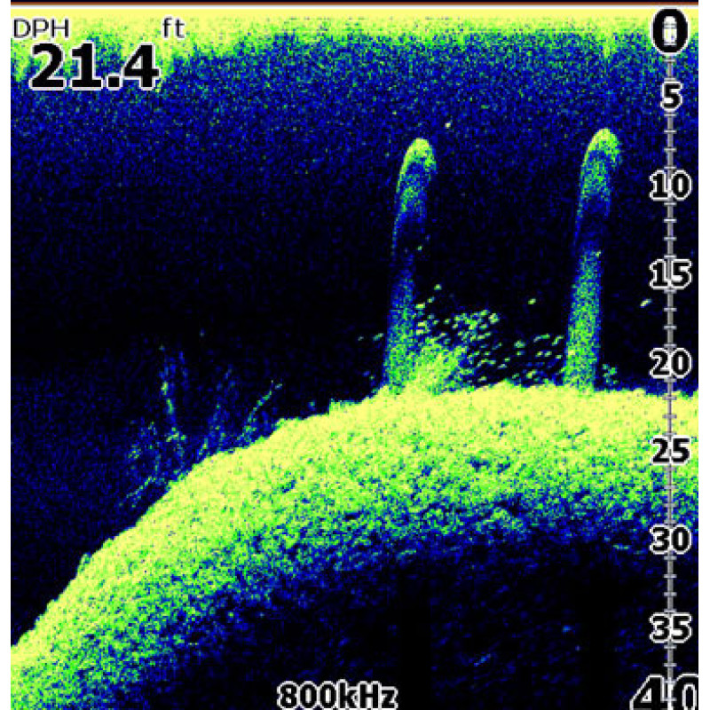 Эхолот Lowrance Elite-5x DSI